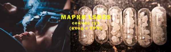 молекула духа Алексин