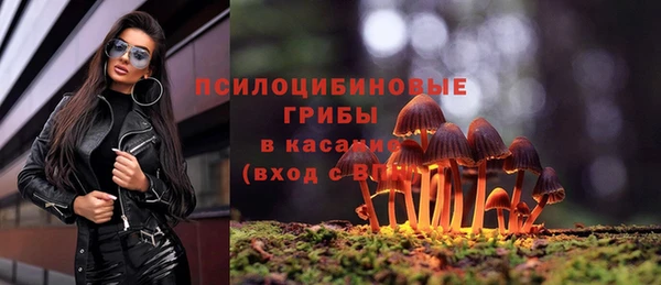 молекула духа Алексин