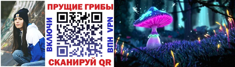 где найти   Шатура  Галлюциногенные грибы прущие грибы 